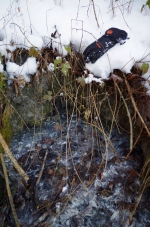 10900121_1534819013439964_6732886597907395845_o