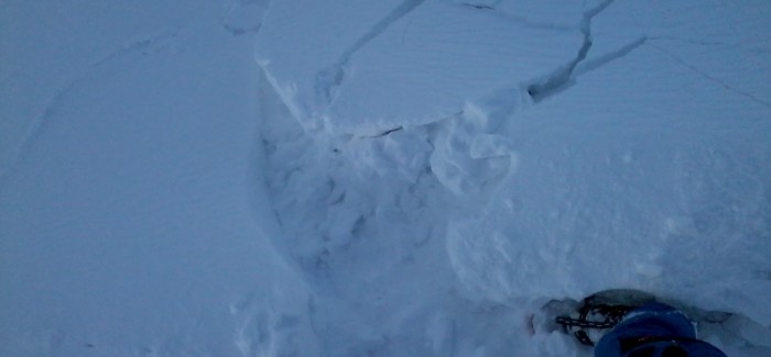 Attention avalanches !