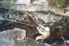 sauve_sortie.jpg (82344 octets)
