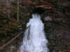 pict0003.jpg (73176 octets)