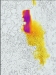 flir_20160823T133227