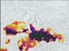 flir_20160826T195822