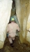 longirod_galerie