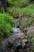 La_Cergne_2.jpg