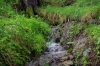 La_Cergne_3.jpg