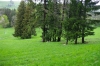 La_Cergne_5.jpg