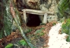 mines_entree
