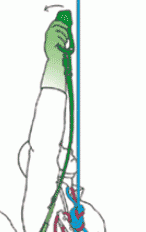noeud_descente_5