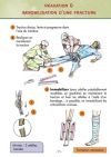 fiche1-exemple540