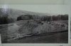 sentier_arbres_mines_photo_2.jpg
