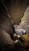 PXL_20250608_131611821_edited